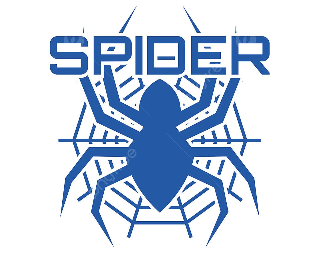 Spider Hoodie